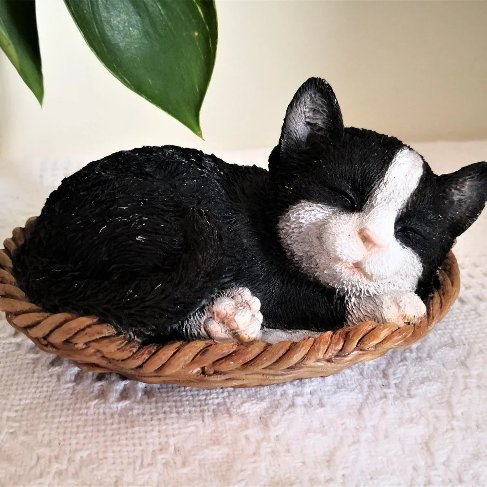 Cute Sleeping‎ Cat in Basket